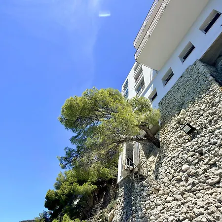 Cap-ferrat Waterfront Villa-private Sea Access Villa *